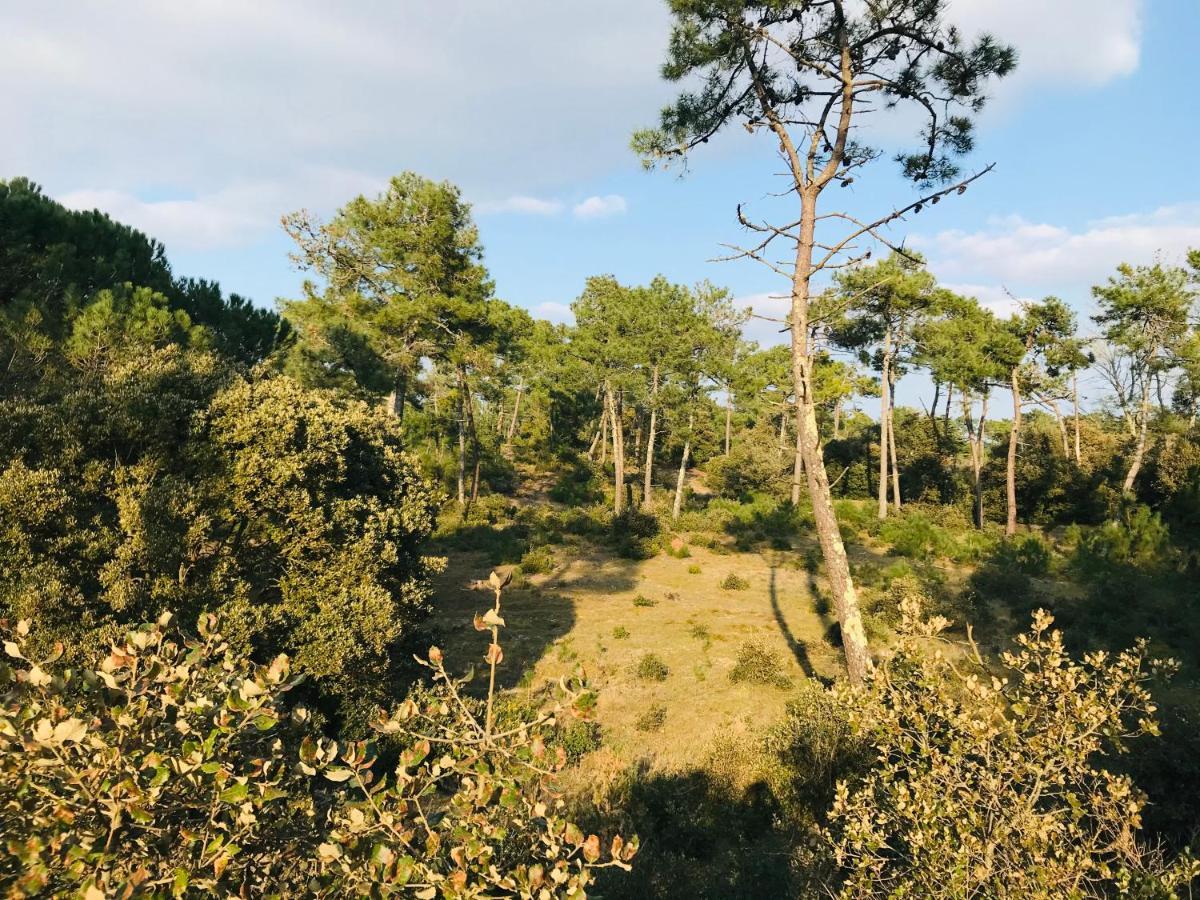 Le Miramar, Face Mer Et Standing 생장드몽 외부 사진